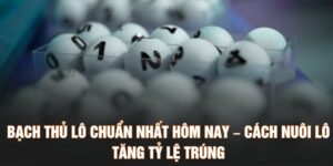 Bạch Thủ Lô Chuẩn Nhất Hôm Nay – Cách Nuôi Lô Tăng Tỷ Lệ Trúng