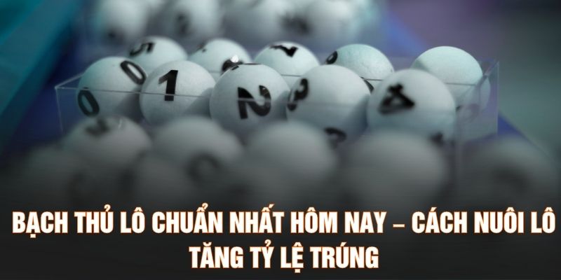 Bạch Thủ Lô Chuẩn Nhất Hôm Nay – Cách Nuôi Lô Tăng Tỷ Lệ Trúng