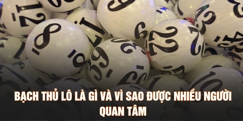Bạch thủ lô là gì và vì sao được nhiều người quan tâm