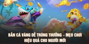 Bắn Cá Vàng Dễ Trúng Thưởng – Mẹo Chơi Hiệu Quả Cho Người Mới