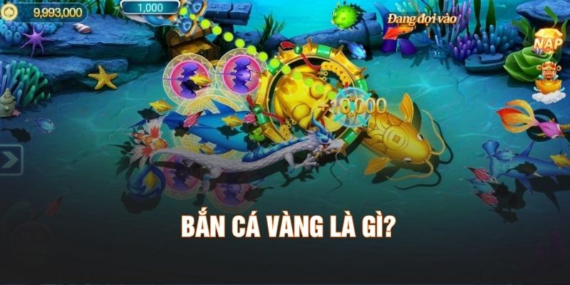 Bắn cá vàng là gì?