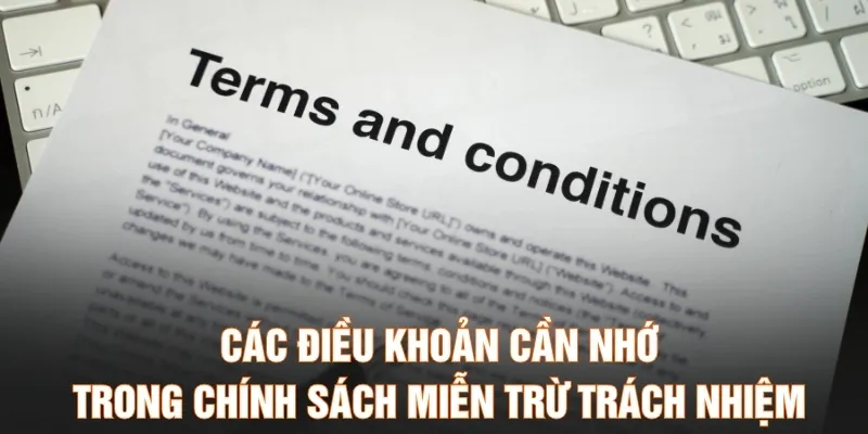 Các điều khoản cần nhớ trong chính sách miễn trừ trách nhiệm