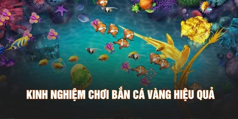 Kinh nghiệm chơi bắn cá vàng hiệu quả