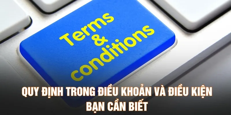 Quy định trong điều khoản và điều kiện bạn cần biết